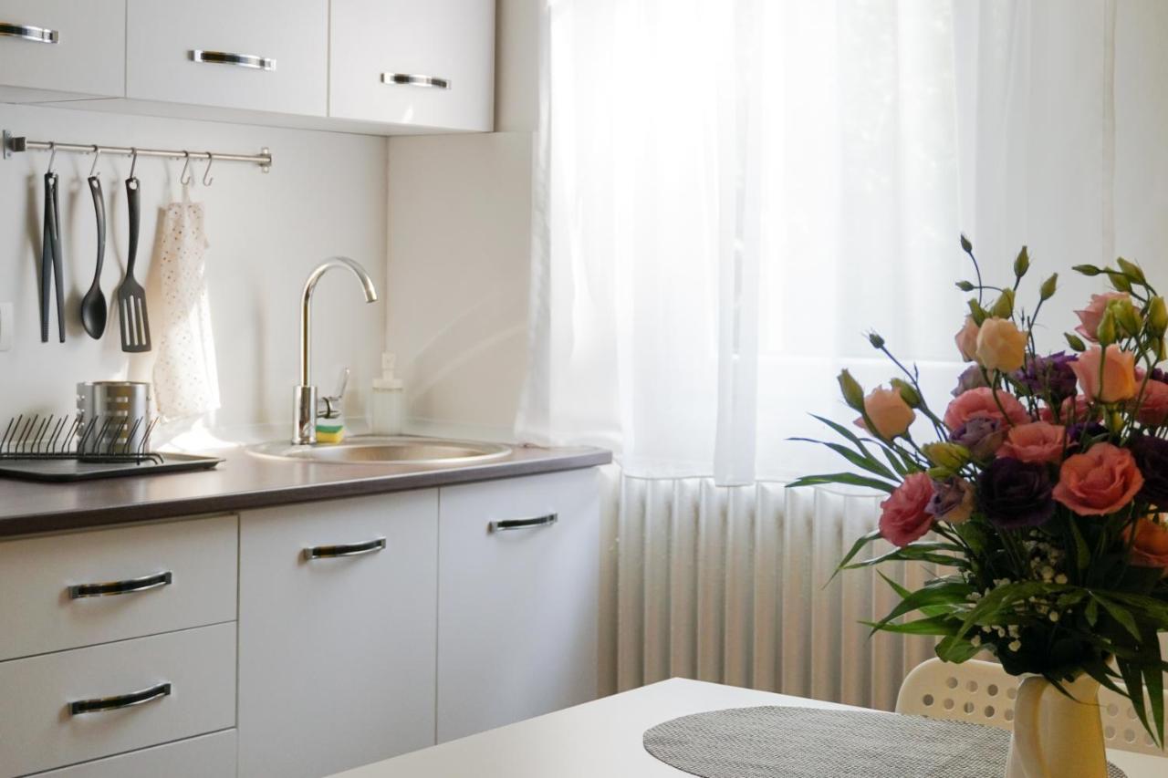 7 Min From City Center - Stecop Residence 3 -Central-Unique-Qb Timişoara Eksteriør billede